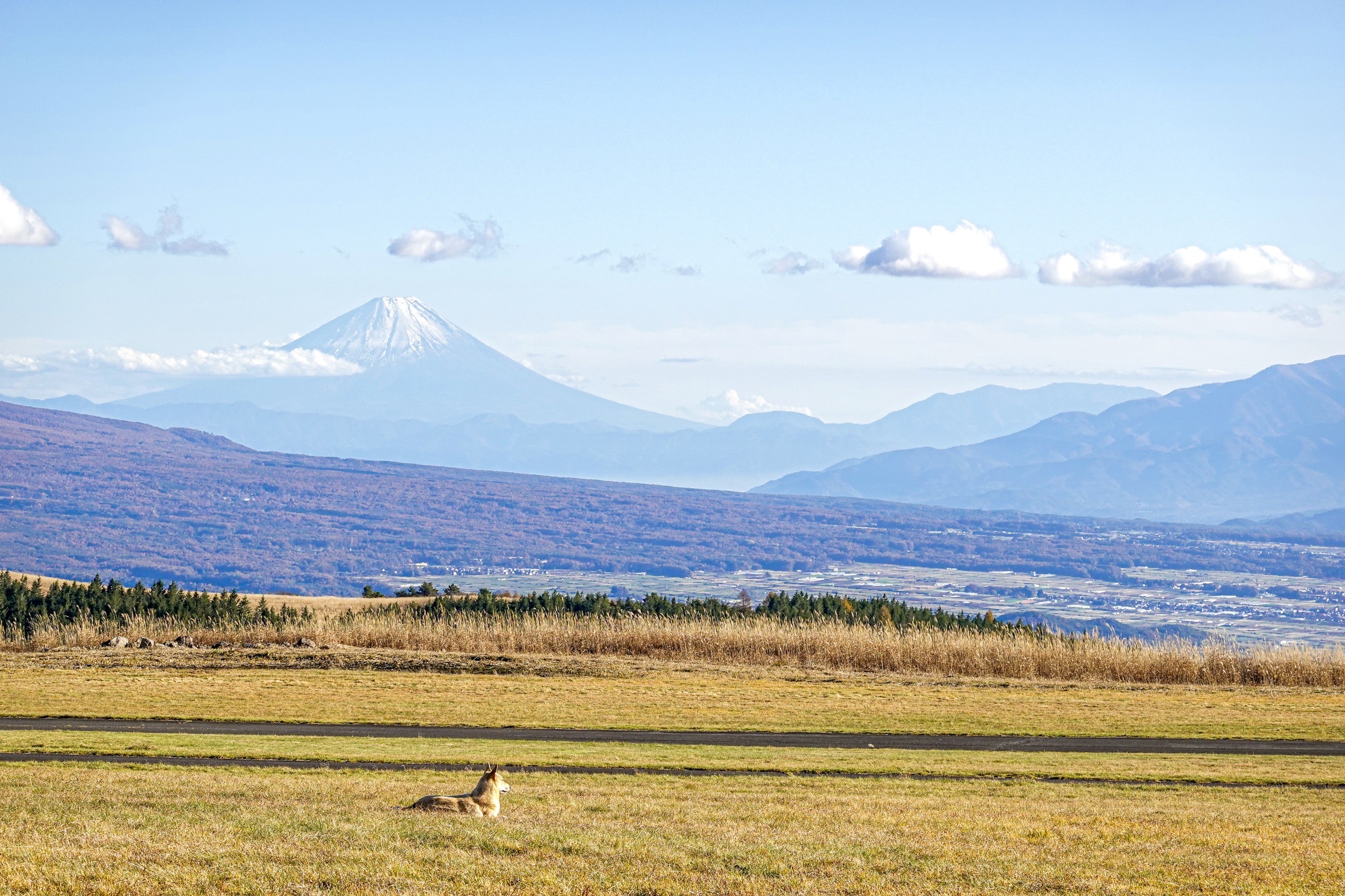 8 captivating facts that will make your Mt.Fuji cycling trip more enjoyable