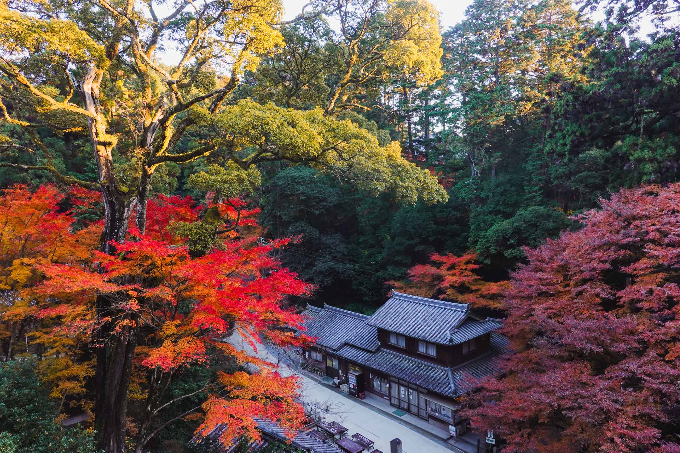 探索神戶與淡路島的單車旅遊(上篇)