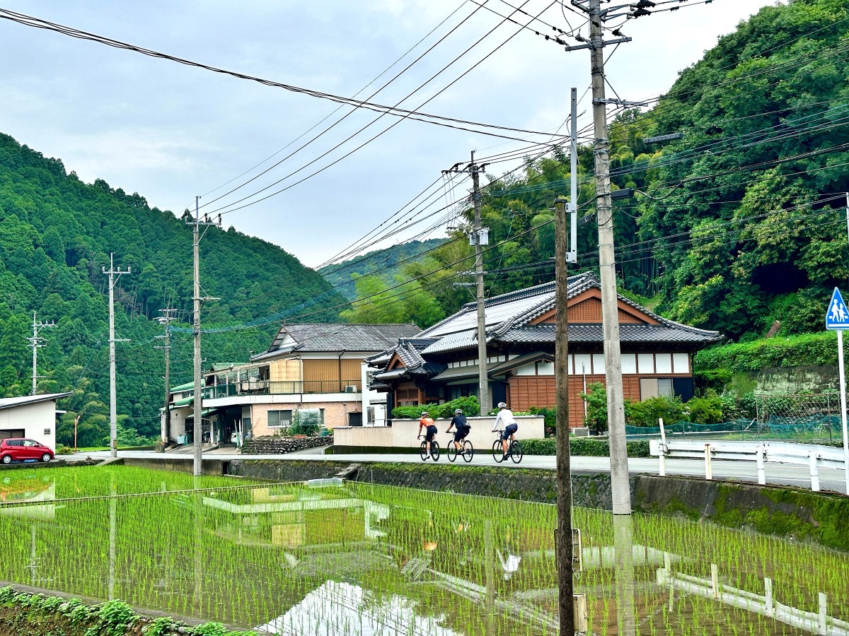 GreenMover-Satoyama 日本的里山與自行車活用,向我們展示了永續如何能深刻地融入文化與生活。這份感動,是否也讓你渴望開啟一場更有意義的旅行?
單車,正是實踐這種旅行的最佳方式。它讓你可以深入小巷、鄉村和城市中較難用其他交通方式到達的地方,近距離接觸當地文化、風景和居民。這種慢節奏能讓你更充分地感受目的地的風土人情。