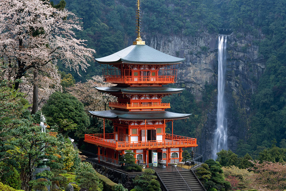 【熊野古道春日絕景】 櫻花簇擁下的青岸渡寺三重塔，與後方壯麗的那智瀑布交相輝映。
